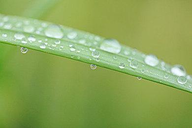 《博德之门3》新社区更新介绍：铸就你的传奇！